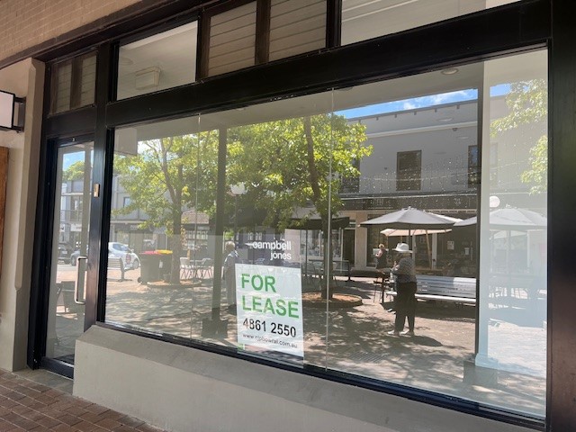 3/294 Bong Bong St, Bowral, NSW 2576