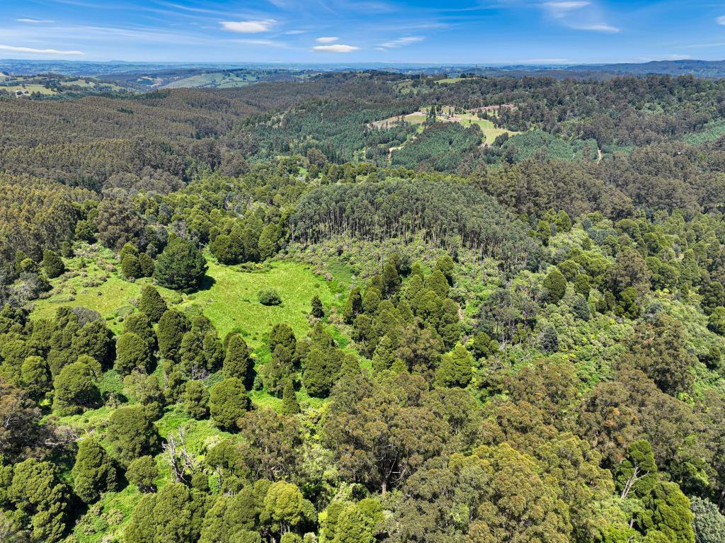 355 Allambee-Childers Rd, Yarragon South, VIC 3823