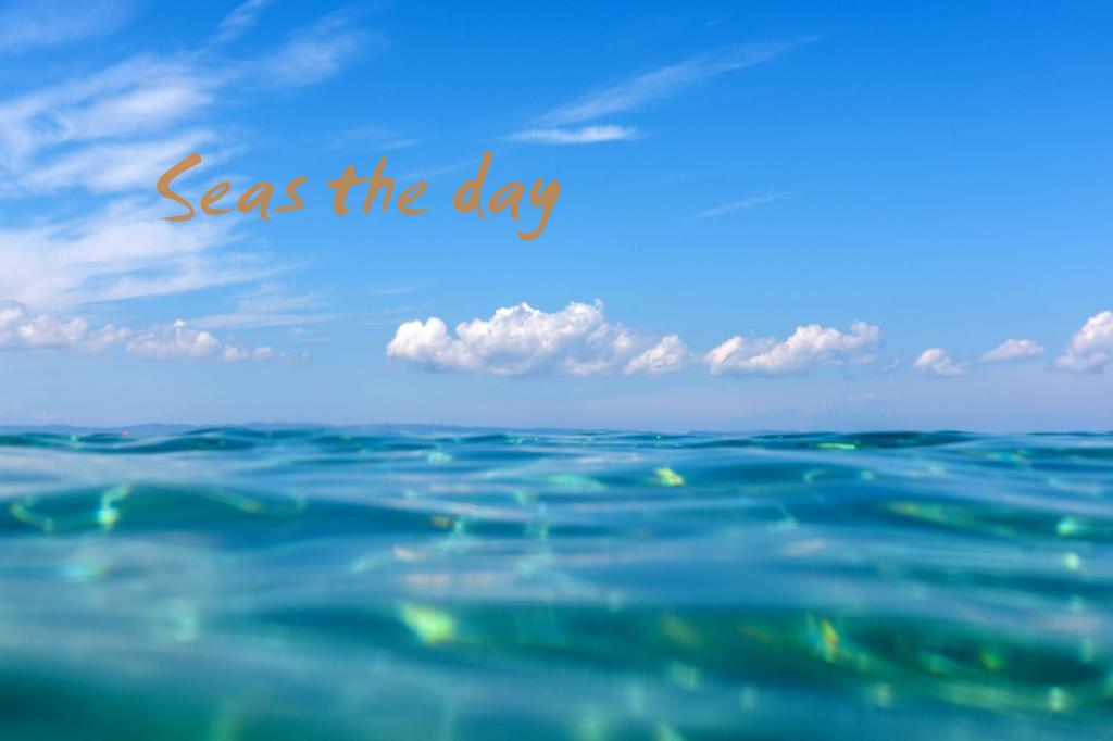 9 LIBERTY RD, TWO ROCKS, WA 6037