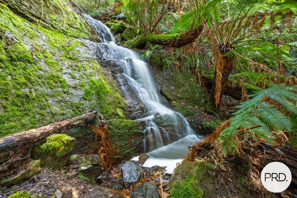 212 Lower Swamp Rd, Lachlan, TAS 7140