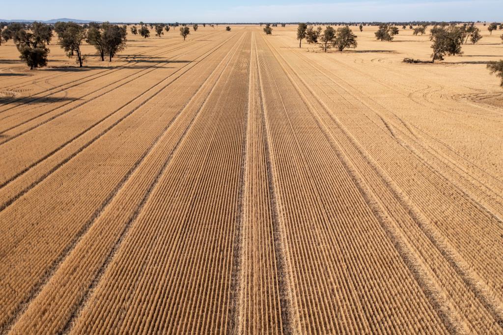 Ca 37b & Ca 38a Natimuk-Hamilton Rd, Noradjuha, VIC 3409