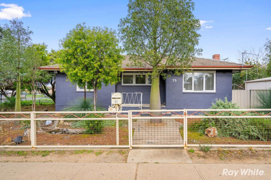 75 Ziegler Ave, Kooringal, NSW 2650