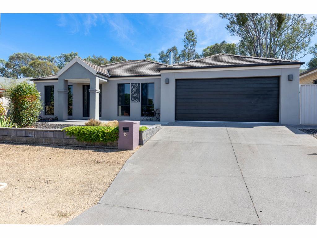 12 Dillagar Pl, Springdale Heights, NSW 2641