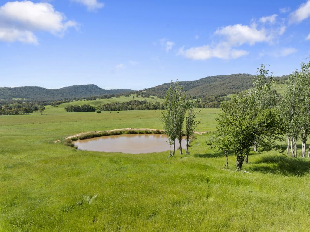 1477 MANSFIELD-WHITFIELD RD, BRIDGE CREEK, VIC 3723