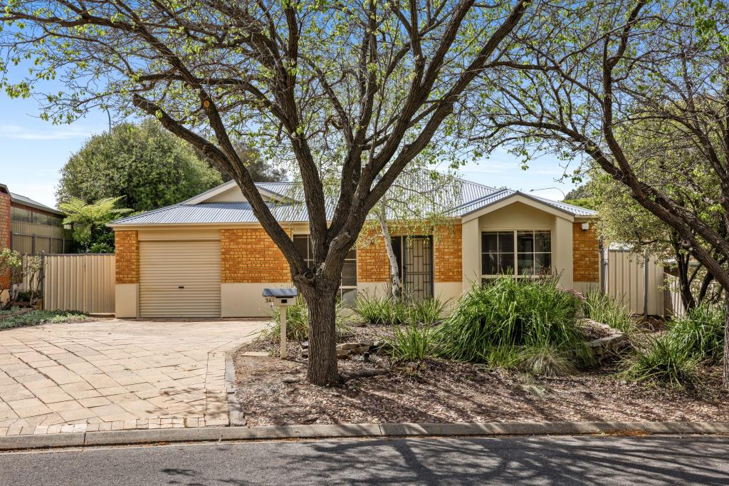 14 Yellow Wood Ct, Greenwith, SA 5125