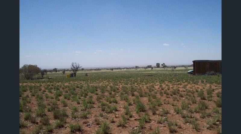 316 Modystach Rd, Wilmington, SA 5485
