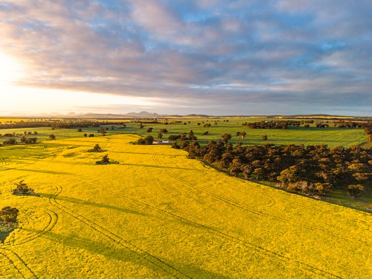 "Wareenup" Newton Rd, Cranbrook, WA 6321