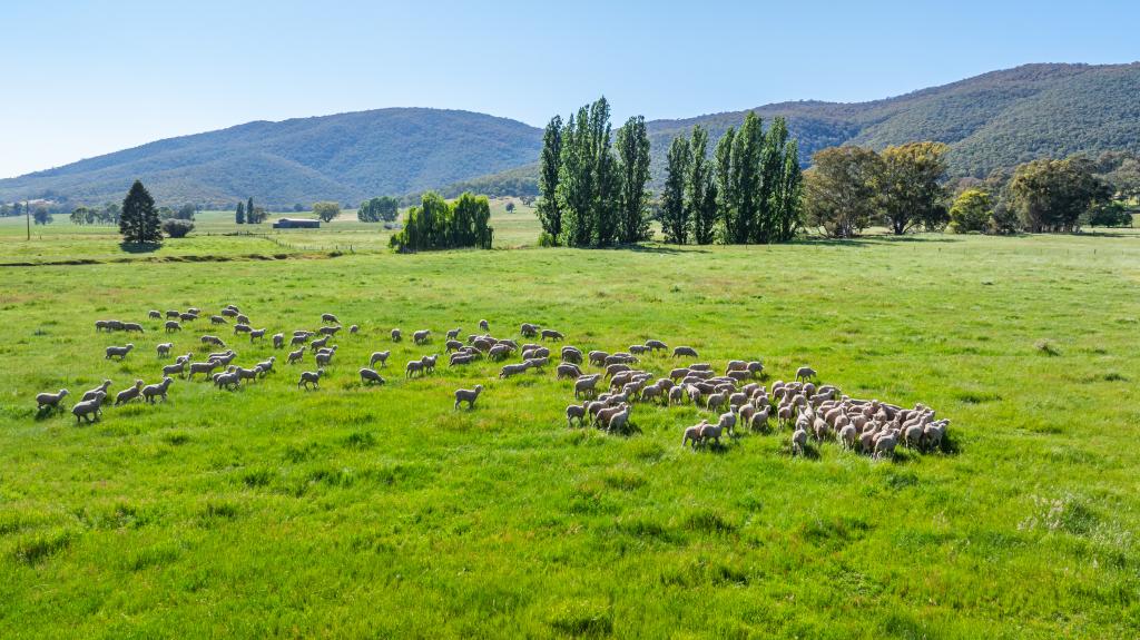 60 DARMODYS RD, LENEVA, VIC 3691