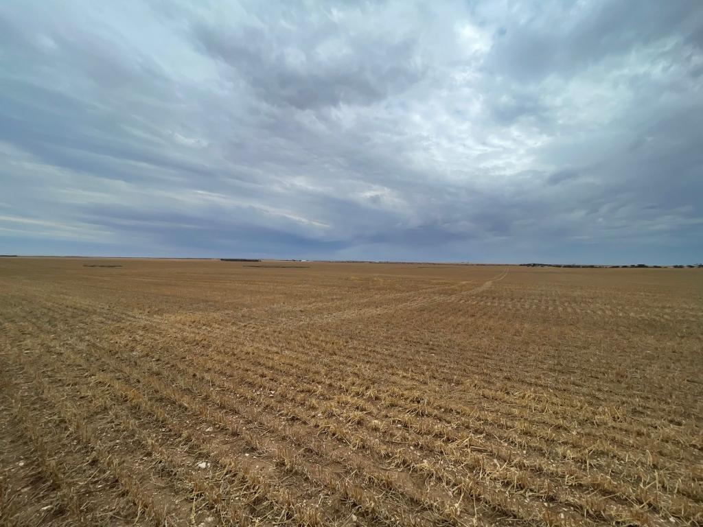 Sections 40 & 9 Kadina - Tickera Rd, Kadina, SA 5554