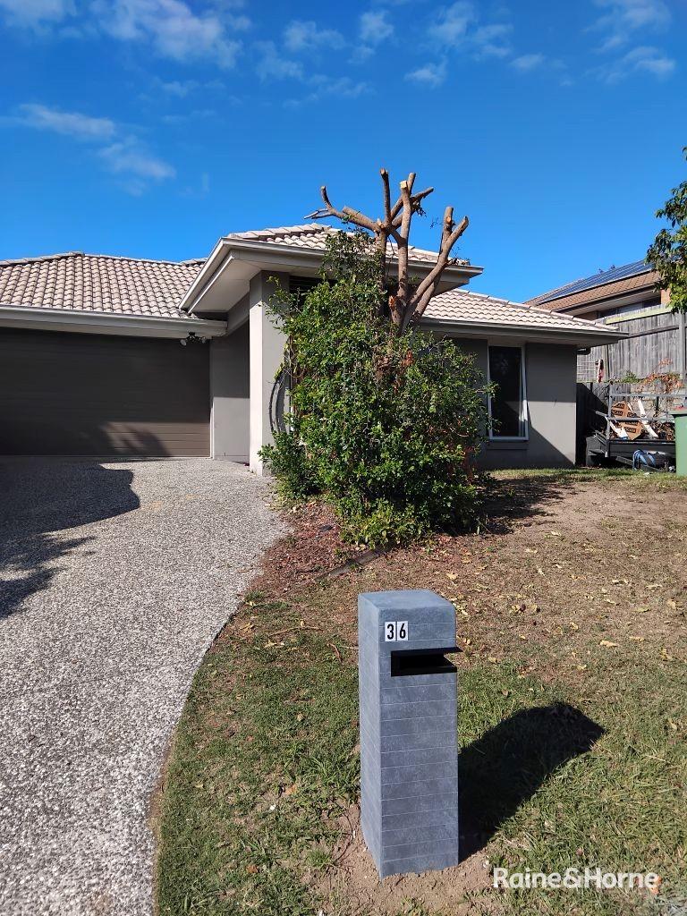 36 Whitmore Cres, Goodna, QLD 4300
