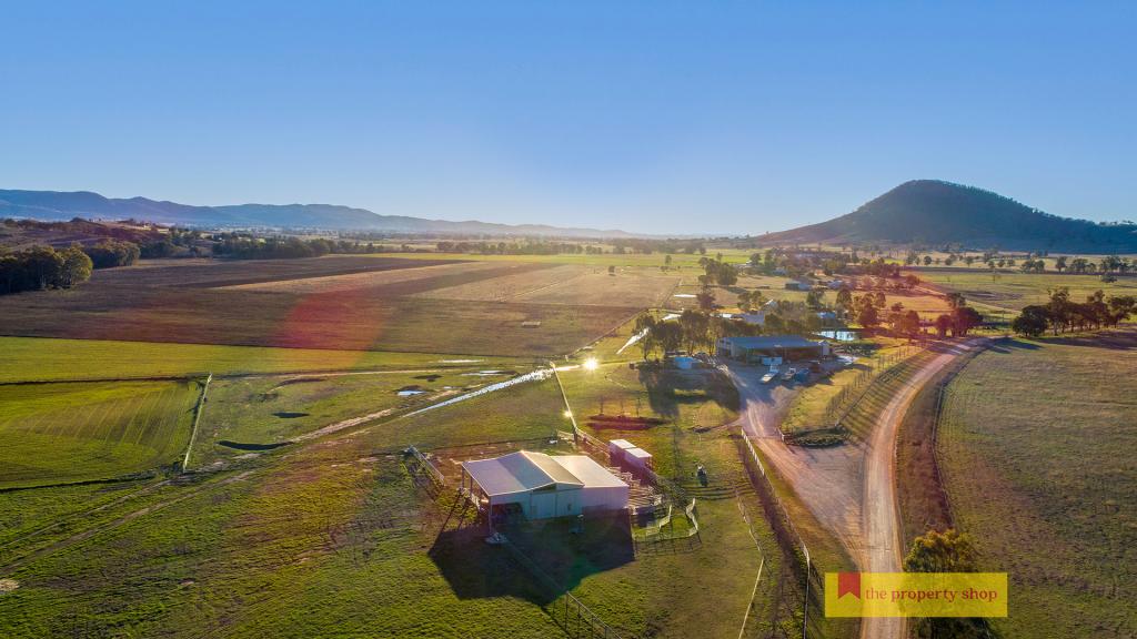 434 MELROSE RD, MULLAMUDDY, NSW 2850