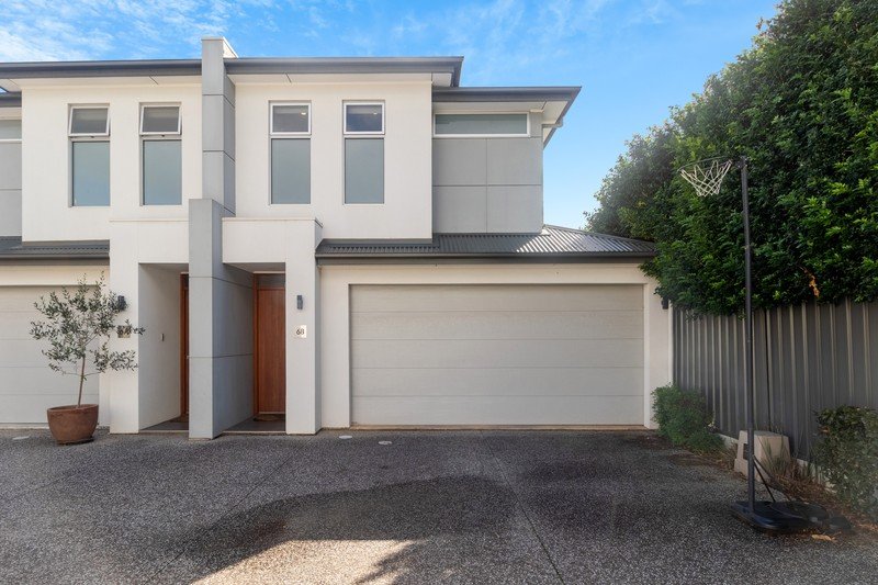 6b Davey St, Parkside, SA 5063