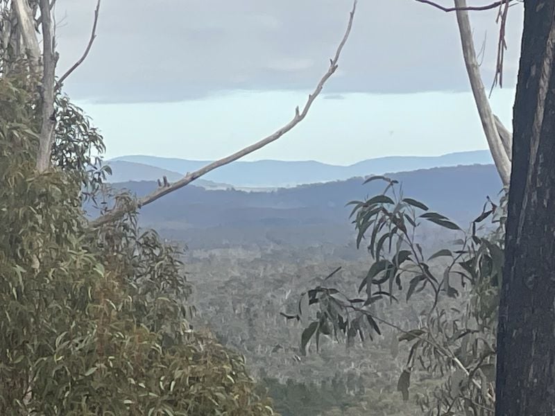8203 Nerriga Rd, Tomboye, NSW 2622