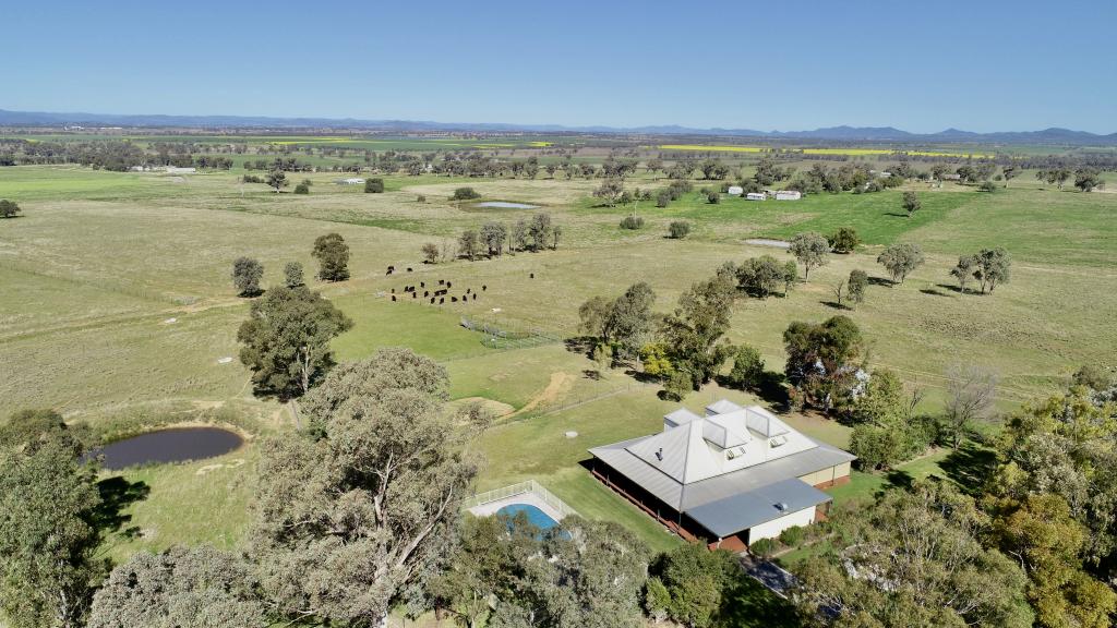 351 Jenners Lane, Bective, NSW 2340