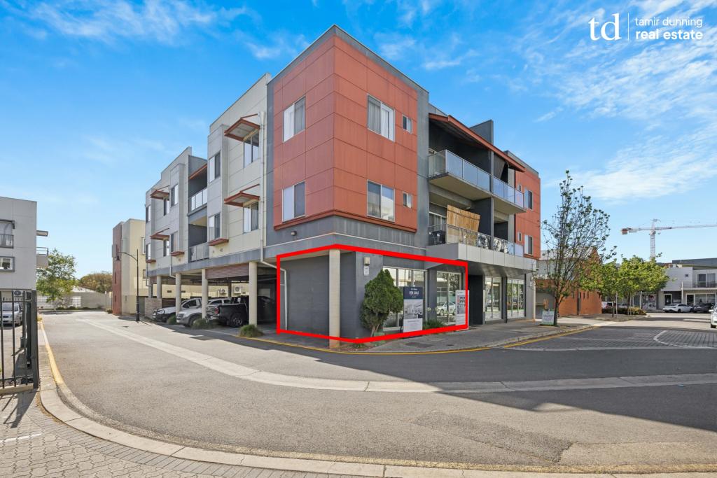 1/2 Fisher Pl, Mawson Lakes, SA 5095