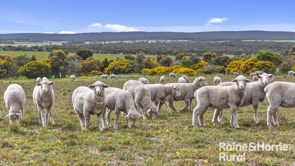 Lot 259 Harvey Rd, Hartley, SA 5255