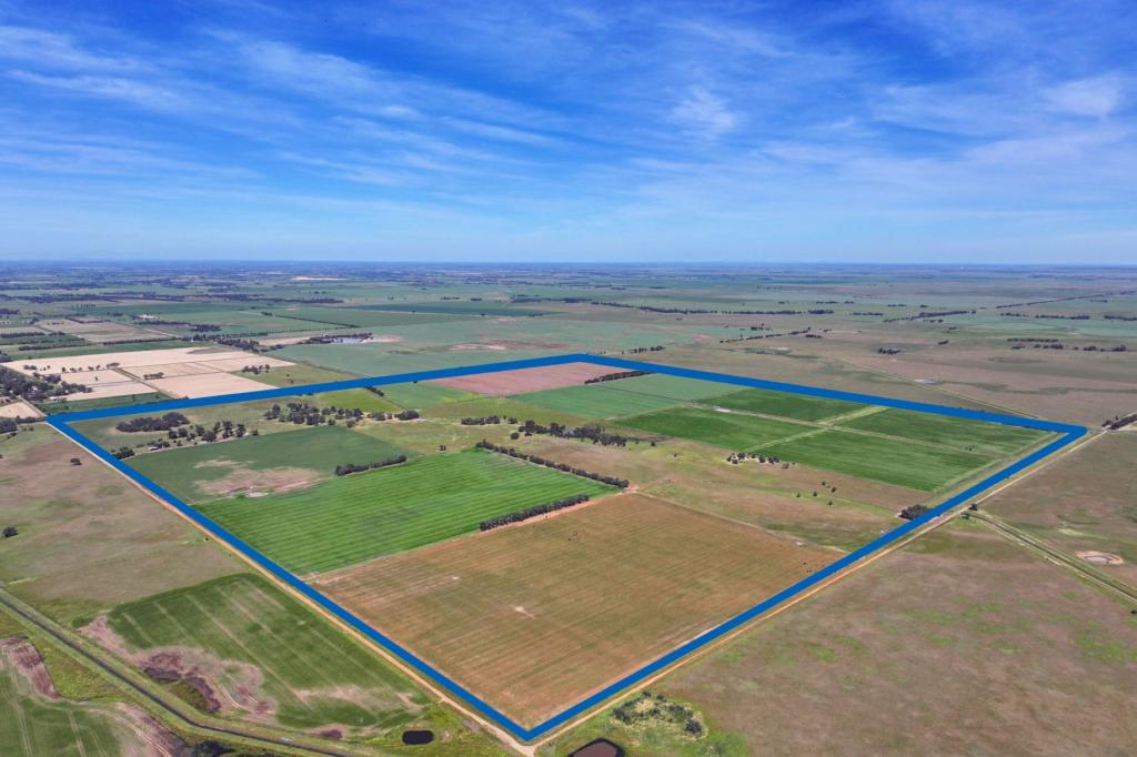 1800 Mt Terrick Rd, Roslynmead, VIC 3564
