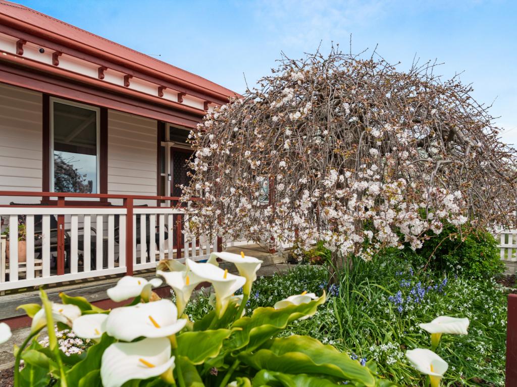 38 King Edward St, Penguin, TAS 7316