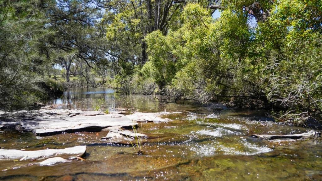 702 Timor Rd, Coonabarabran, NSW 2357