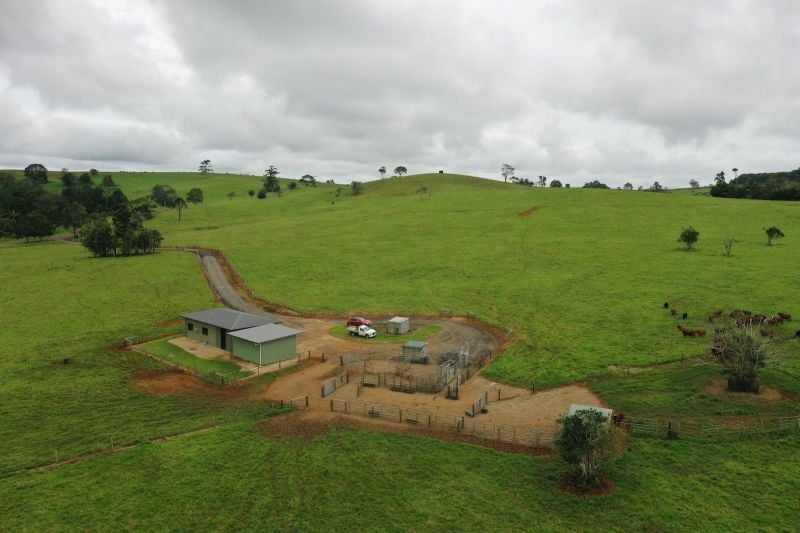 Contact Agent For Address, Millaa Millaa, QLD 4886