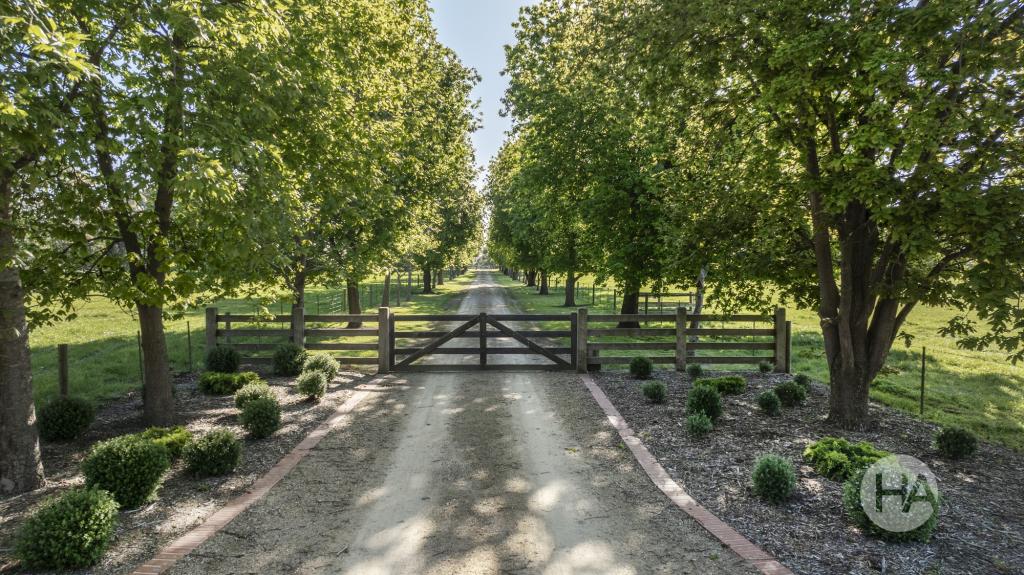 155 Stumpy Gully Rd, Balnarring, VIC 3926