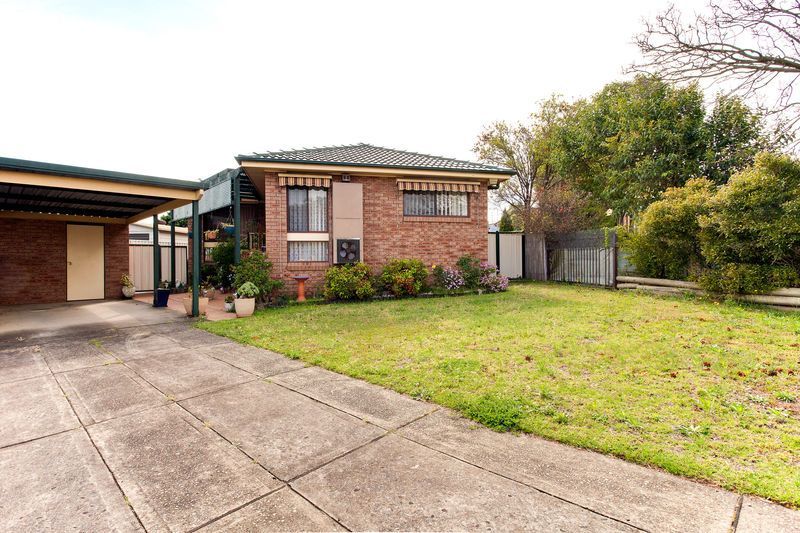 6 Hall Pl, Minto, NSW 2566