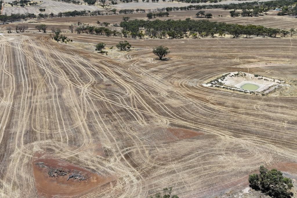Lot 8662 Cunderdin-Quairading Rd, Youndegin, WA 6407