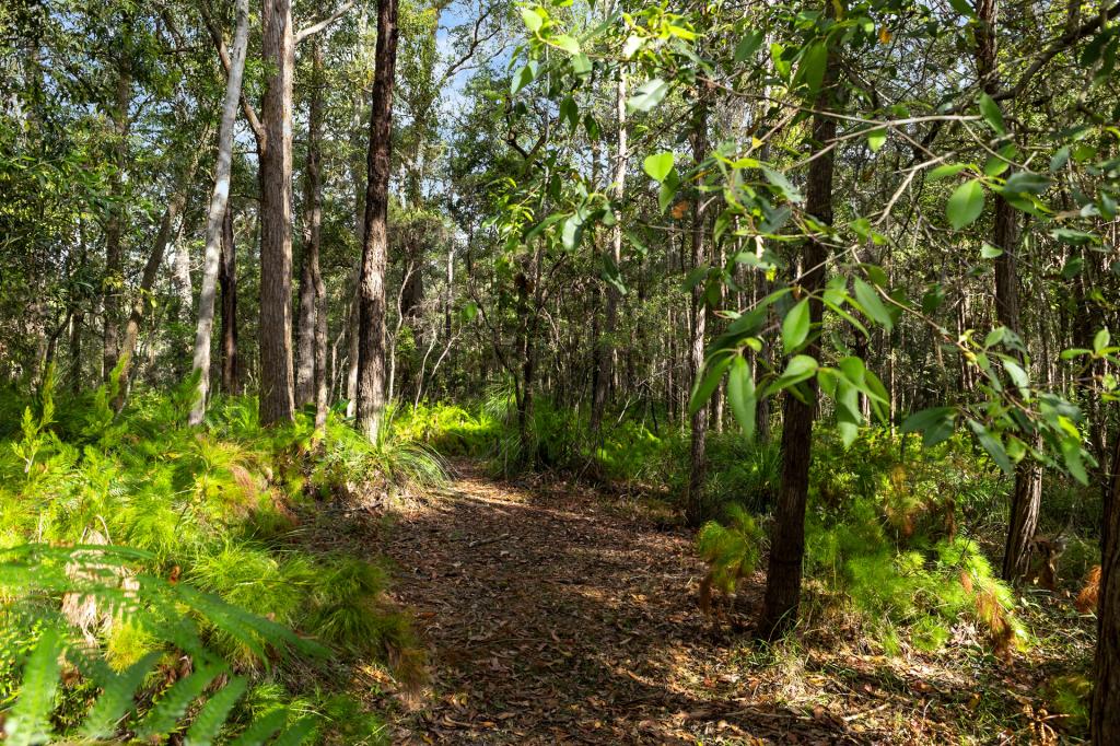 40 Lakewood Dr, Peregian Beach, QLD 4573