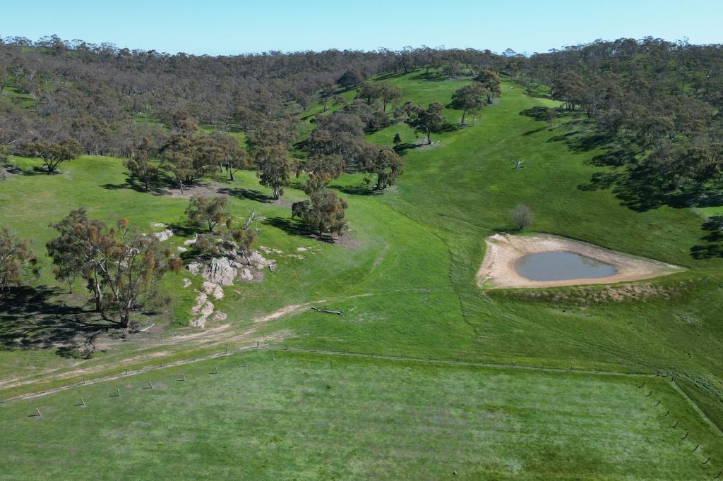 Lot 388 Mccord Lane, Gillentown, SA 5453