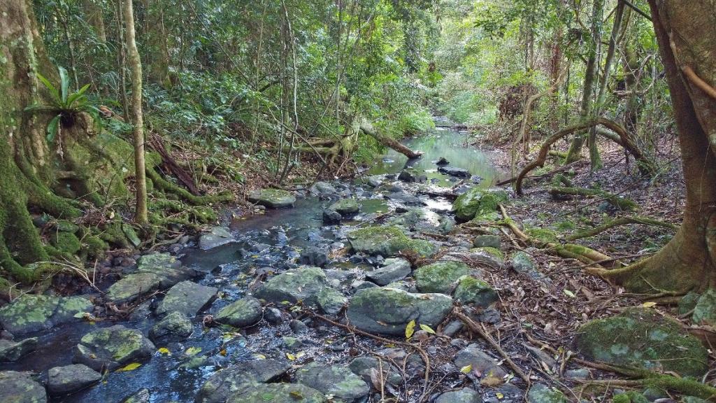 209 Billen Rd, Georgica, NSW 2480