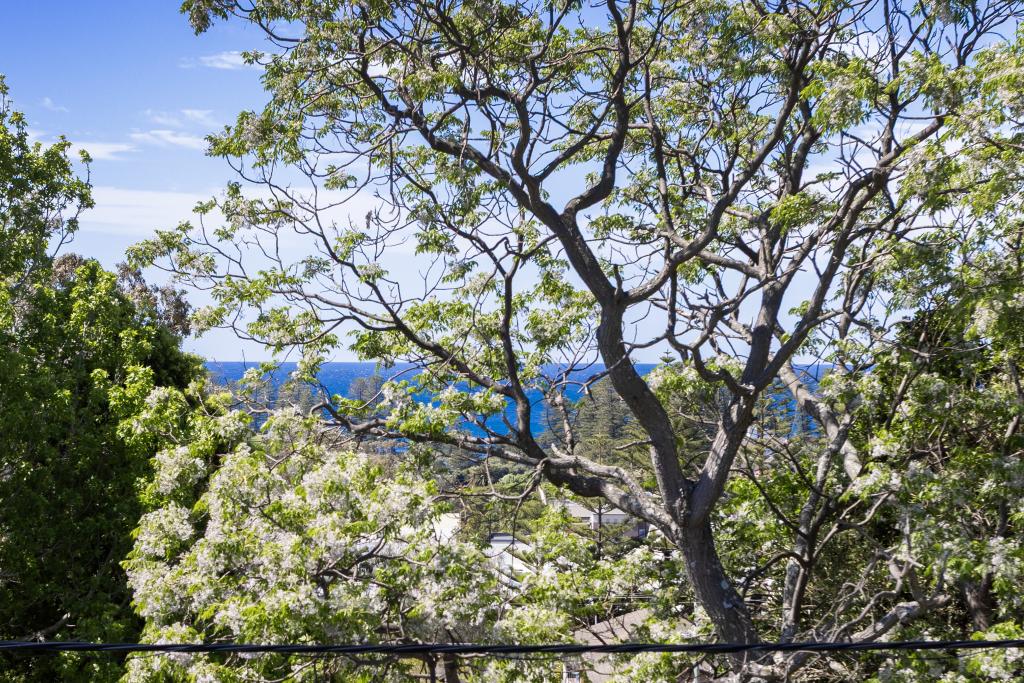 3/4 James Lane, Kiama, NSW 2533