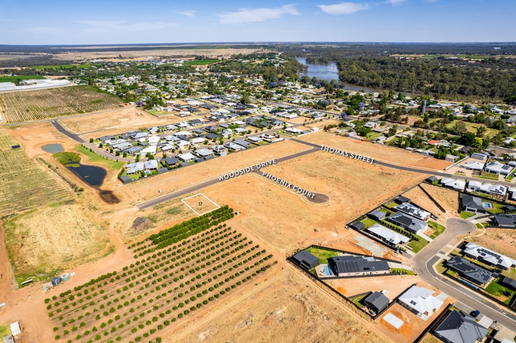 17 Woodside Dr, Gol Gol, NSW 2738