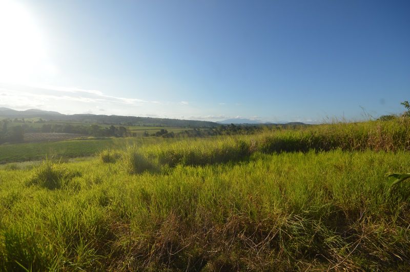 1212 Innisfail Japoon Rd, Camp Creek, QLD 4871