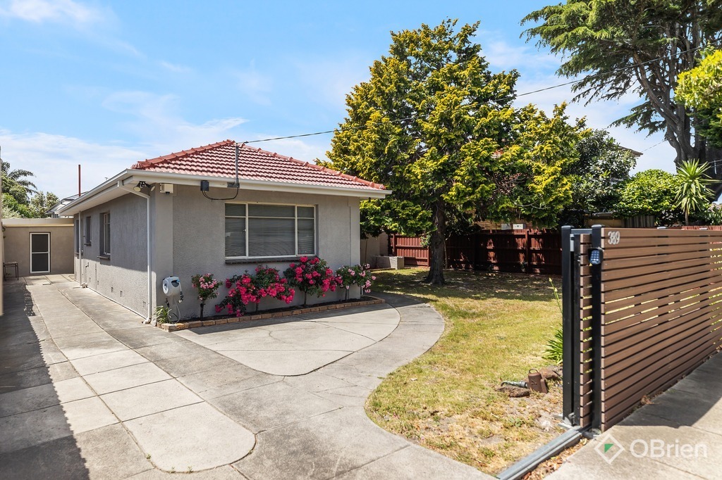 389 BAY RD, CHELTENHAM, VIC 3192