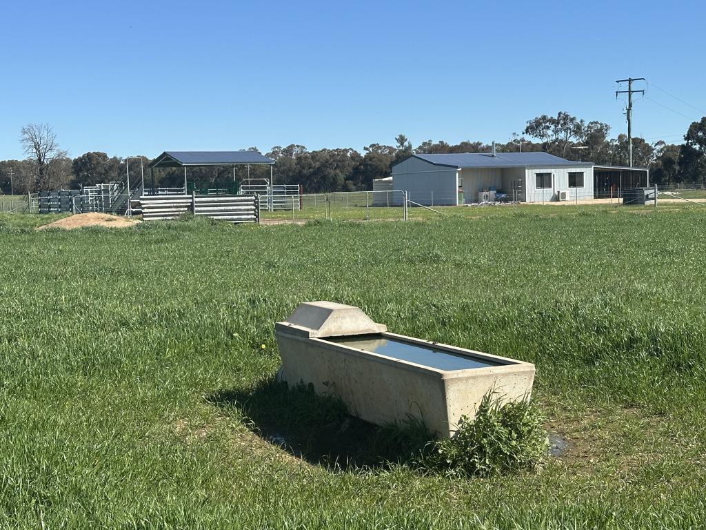 4332 Olympic Hwy, Henty, NSW 2658