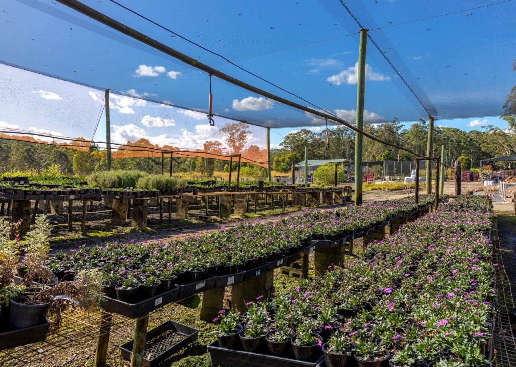 Parkland Wholesale Nursery, Tinonee, NSW 2430