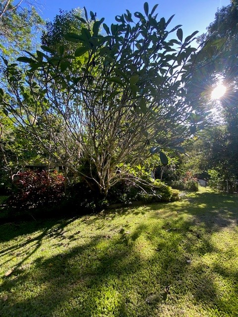 258 Ganyan Dr, Speewah, QLD 4881