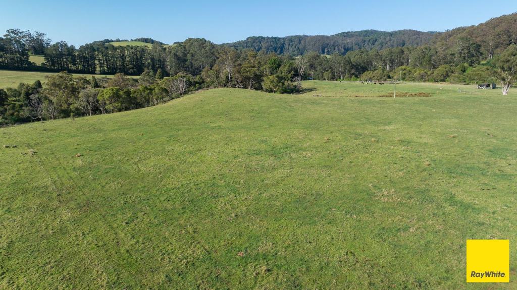 6060 Waterfall Way, Dorrigo, NSW 2453