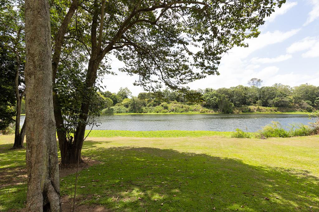 972 Mackay-Eungella Rd, Pleystowe, QLD 4741