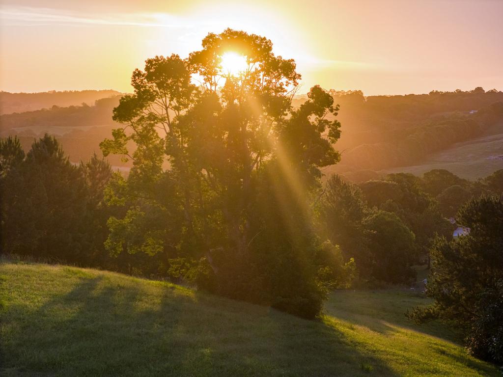 111 FOWLERS LANE, BANGALOW, NSW 2479