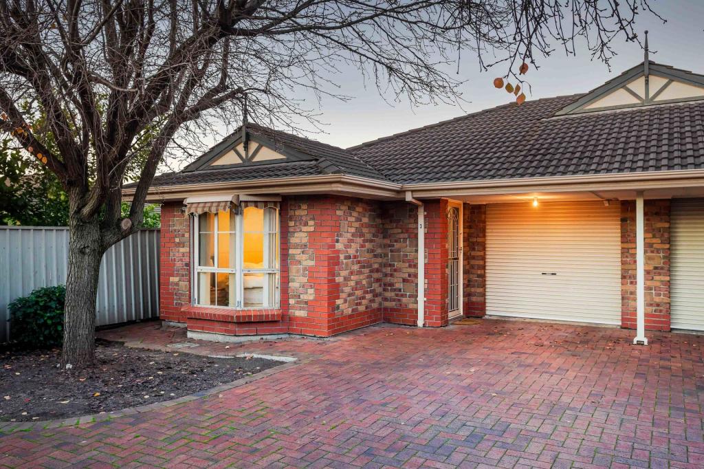 3/3 Weaver Ave, Richmond, SA 5033