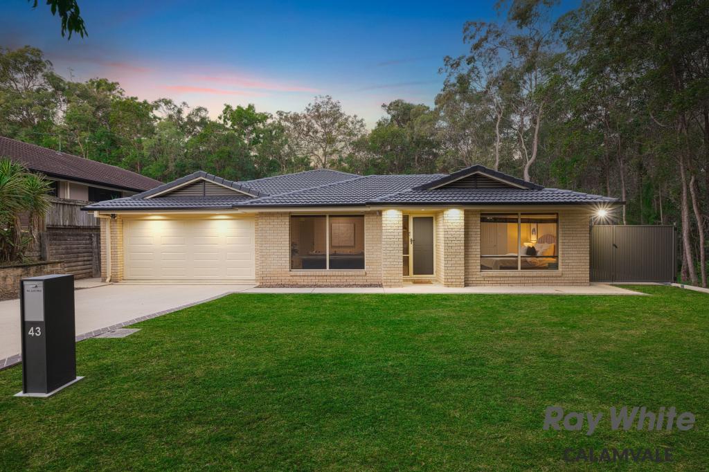 43 Wilkins Pl, Drewvale, QLD 4116