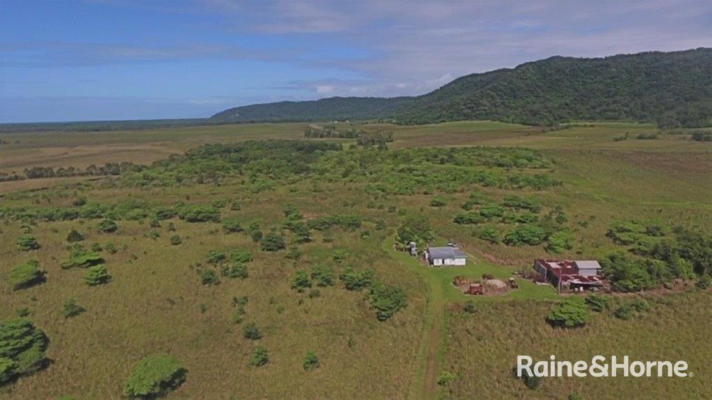 110 Cape Tribulation Rd, Lower Daintree, QLD 4873