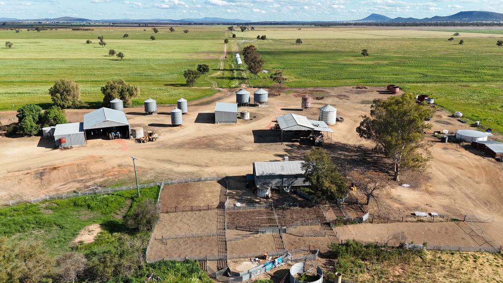 578 Shannahans Rd, Forbes, NSW 2871