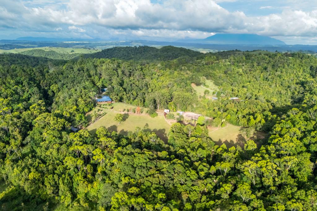 222 Hitchconole Rd, Tarzali, QLD 4885