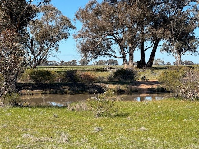 4ca Calder Hwy, Wedderburn, VIC 3518