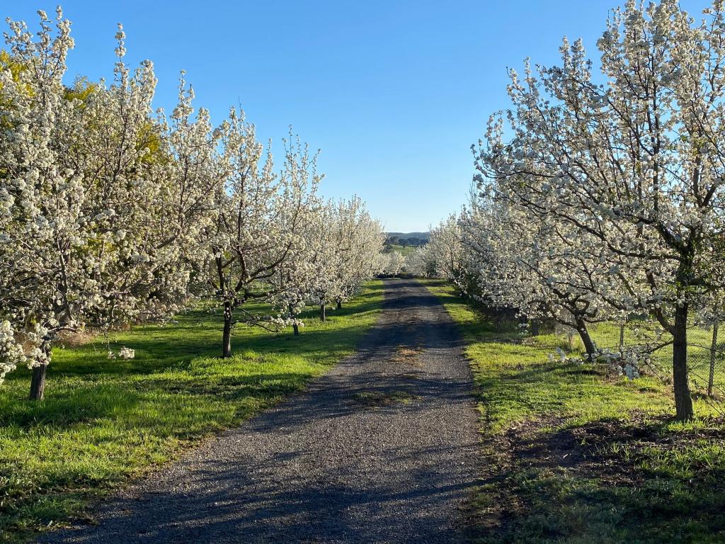 4924 Gundaroo Rd, Bellmount Forest, NSW 2581