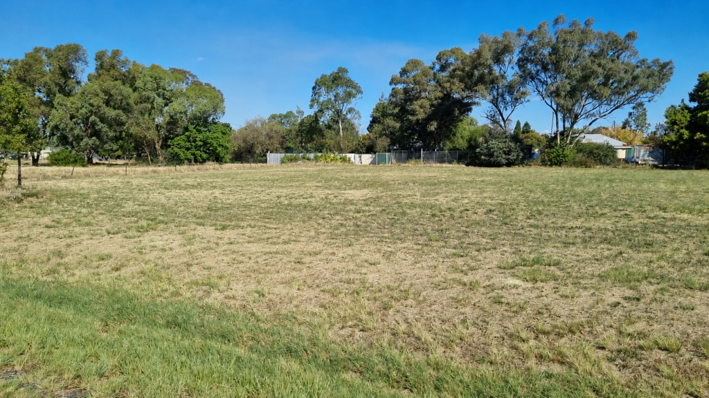 37-39 YOUNG ST, OAKLANDS, NSW 2646