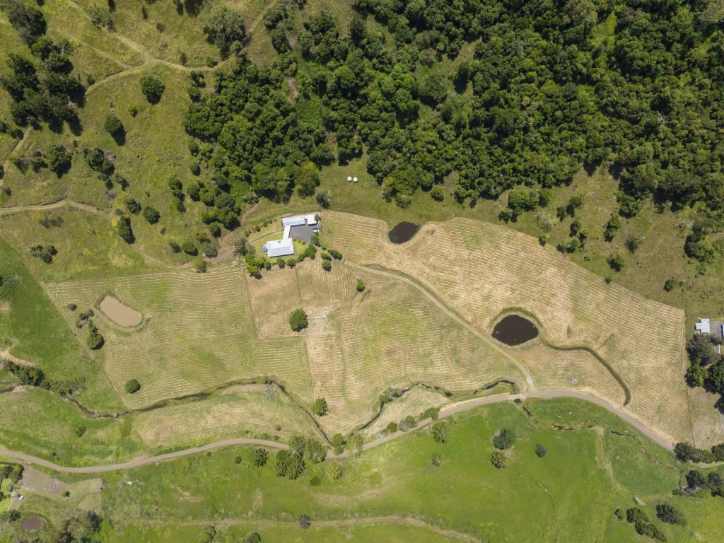 138 Bice Rd, Leycester, NSW 2480