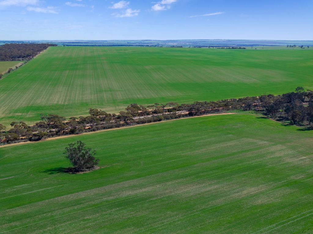 'EMU ROCKS' EMU ROCKS RD, CORTLINYE, SA 5641